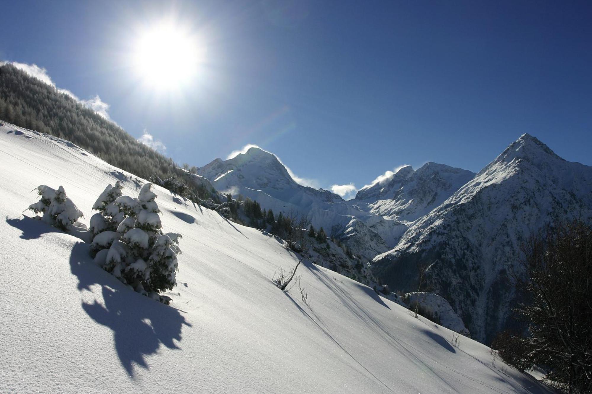 Vacanceole - Residence Goleon -Val Ecrins لو دوز آلب المظهر الخارجي الصورة